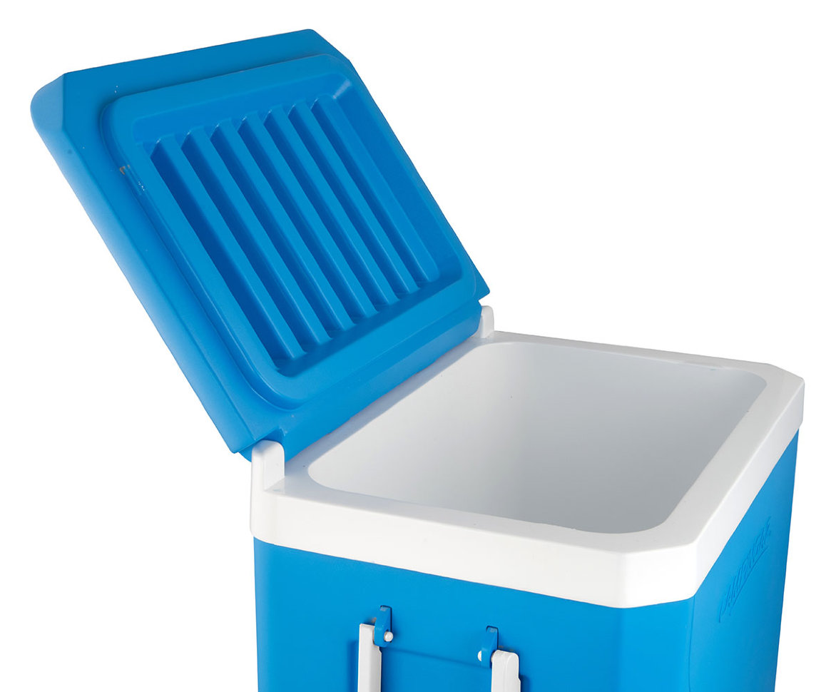 Контейнер Icetime Plus 42L