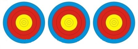 Мишень FITA 3*20см