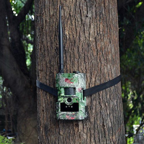 Камера слежения MG883G-14mHD Camo